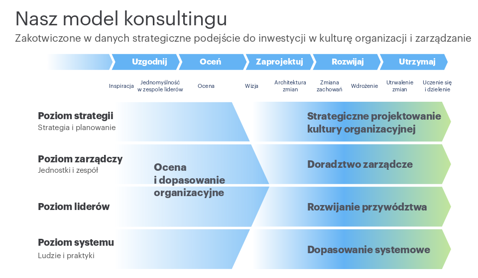 consulting framework PL