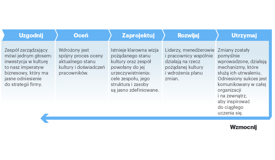 roadmap pl